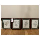 (4) Watercolor Prints by Lyn Knegler