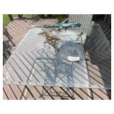 Glass Table, Metal Base, 1 Chair, 2 Lizards