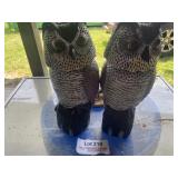 Pair of Garden Owls