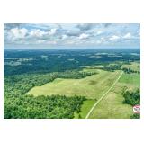 Tract 24 - Farm C - 10.86+/- Acres