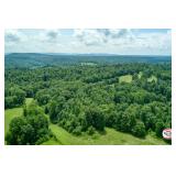 Tract 23 - Farm B - 18.30+/- Acres