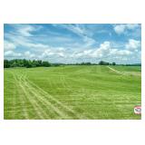 Tract 25 - Farm C - 33.36+/- Acres