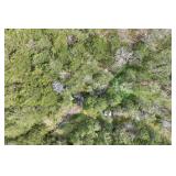 Tract 1 - 97.70+/- Acres & Older 3BR/1BA Home