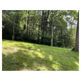 5A- Lot 1 (Vacant Lot)- 0.22 +/- acre lot
