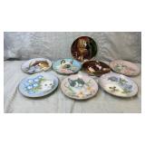 8 cat plates