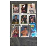 1990 WWF wrestling cards, Ultimate Warrior!