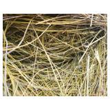 Hay