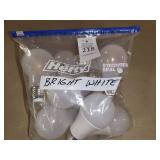 Bag of Lightbulbs- NEW