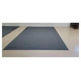 Area Rug with Padding