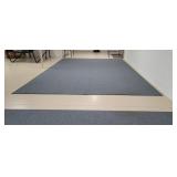Large Area Rug