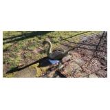 Cement Yard Art Swan
