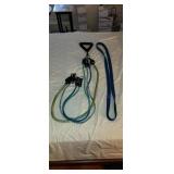 Assortment of Resistant Training Bands