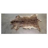 Deer Pelt