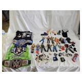 WWE Wrestling Action Figures and Accessories