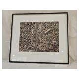 Framed Rough Aggregate Photograph