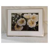 Framed Petunia Botanical Photograph