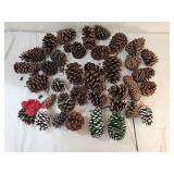 Assortment of Pine Cones