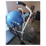 Schwinn Airdyne & Excercise Ball
