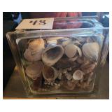 Glass Block Filled w/Shells