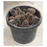10 Gallon Planter w/ Craft Ready Lg. Pine Cones