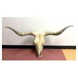 Long Horn Skull 42" Spread