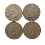 (4) Indian Head Cents