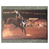 Rodeo Photo Print on Wood 30" x 20"