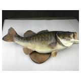large mouth bass taxidermy