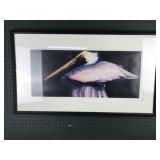 framed pelican art