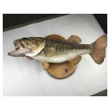 large mouth bass taxidermy