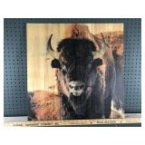 Wooden Buffalo Picture