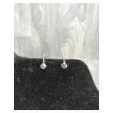Pair of Earrings Marked V20-10KT Gold Filled CT