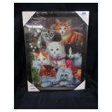 cat picture