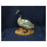 goose