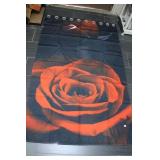 Shower Curtain -New