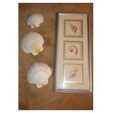 9' x 21 ' Sea Shell Picture & 3 Sea Shells 9' x 21 ' Sea Shell Picture & 3 Sea Shells