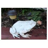 Frog Frog