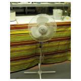 Fan Fan