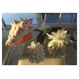 Sea Shell & Decor Sea Shell & Decor