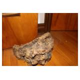 Piece of Drift Wood Piece of Drift Wood