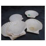 Oyster Shells