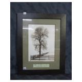 Framed 'When A loved One Becomes A Memory' Photo