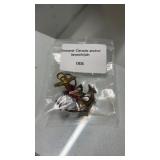 Souvenir canada brooch