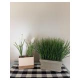 Faux Plants