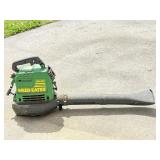 Weed Eater GBI 30V Gas-Powered Blower