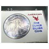 1989 American Silver Eagle Coin
