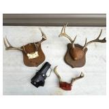 Mounted Deer Antlers and Leather Sheath Set