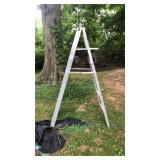 Metal ladder