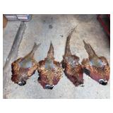 (4) pheasant pelts