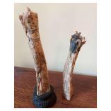 Incredible pair of Chinese man and woman bone sculptures. 9  and 10 inches tall with the male being on a 2 inch wood base.